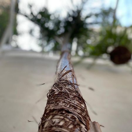 Tufoletto Apartment Palermo Zewnętrze zdjęcie