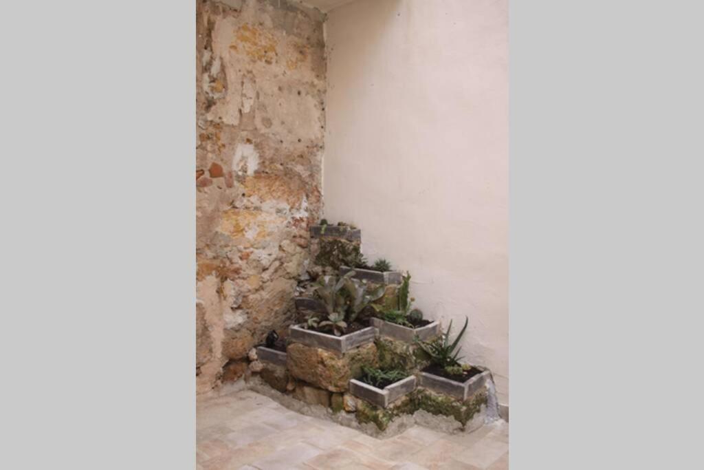 Tufoletto Apartment Palermo Zewnętrze zdjęcie